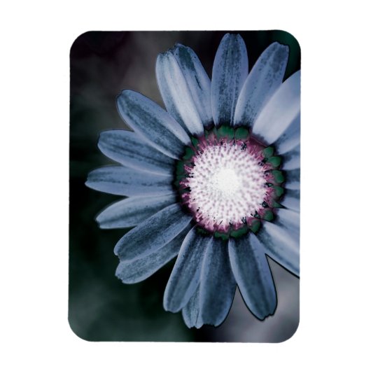 Blue Rustic Daisy Flexible Photo Magnet Magneet (Verticaal)