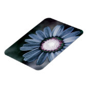 Blue Rustic Daisy Flexible Photo Magnet Magneet (Linkerzijde)