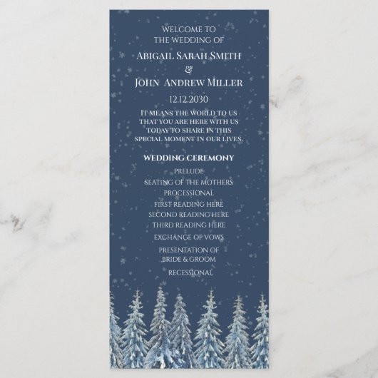 Blue Rustic Winter Forest Wedding Program Programmakaart (Voorkant)