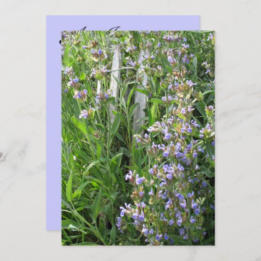 Blue Sage Flowers Aangepaste Uitnodigingen (Voorkant / Achterkant)