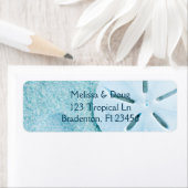 , Blue Sand Dollar Beachy Etiket (Insitu)