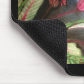 BLUE SAPPHIRE HUMMING BIRD MOUSEPAD MUISMAT (Hoek)