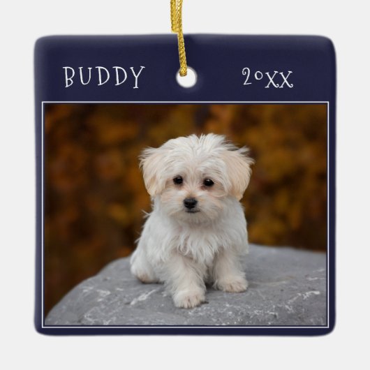 Blue Schattige Dog Pet 2 foto's Kerst Keramisch Ornament (Voorkant)