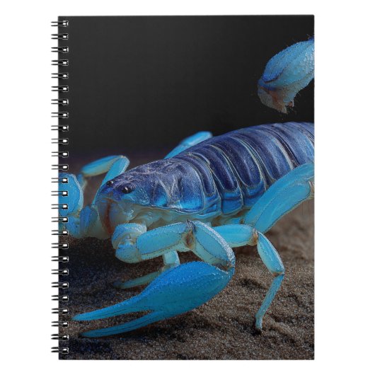 Blue Scorpion Glow Notitieboek (Voorkant)