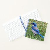  Blue Scrub Jay Bird Foto Notitieboek (Binnen)
