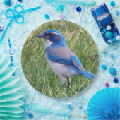 Blue Scrub Jay Bird Foto Papieren Bordje (Feest)