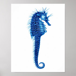 Blue Seahorse Art Print no.1 Beach Wall Art Decor