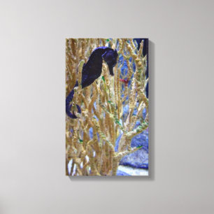 Blue Seahorse Canvas Afdruk