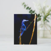 Blue Seahorse CB Briefkaart (Staand voorkant)