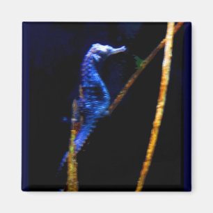 Blue Seahorse CB Magneet