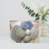 Blue Seashell-Briefkaarten voor fotografie Briefkaart (Staand voorkant)