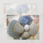 Blue Seashell-Briefkaarten voor fotografie Briefkaart (Voorkant / Achterkant)