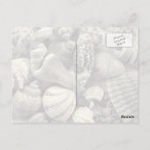 Blue Seashell-Briefkaarten voor fotografie Briefkaart (Achterkant)