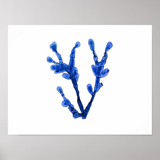 Blue Seaweed #8 42x32 cm Beach Wall Decor Poster (Voorkant)