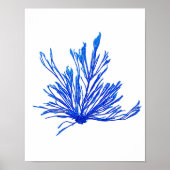 Blue Seaweed Print No. 1 Coastal Botanical Print . (Voorkant)
