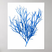 Blue Seaweed Print nr. 10 Coastal Botanical Print. (Voorkant)