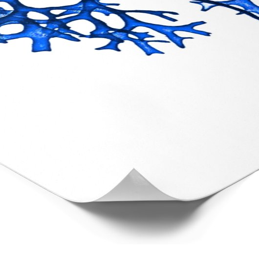 Blue Seaweed Print nr. 12 Coastal Botanical Print. (Hoek)