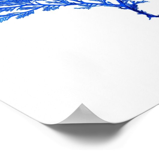 Blue Seaweed Print nr. 4 Coastal Botanical Print. (Hoek)