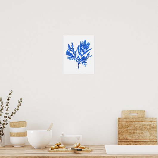 Blue Seaweed Print nr. 4 Coastal Botanical Print. (Keuken)