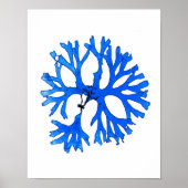 Blue Seaweed Print nr. 5 Coastal Botanical Print. (Voorkant)