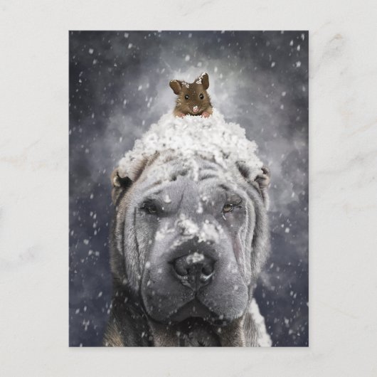 Blue Shar Pei in de sneeuw met een kleine muis Briefkaart (Voorkant)