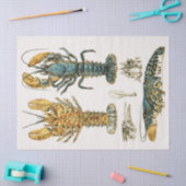 Blue Shell kreeft Waterverf Tissuepapier (Craft)