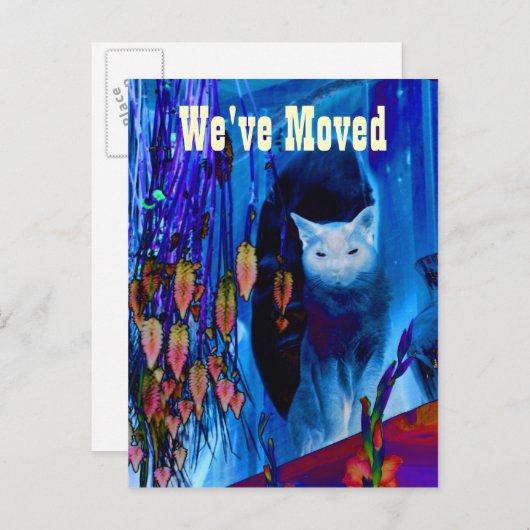 Blue Siamese Cat Moving New Address Briefkaart (Voorkant / Achterkant)