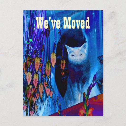 Blue Siamese Cat Moving New Address Briefkaart (Voorkant)