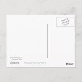 Blue Silky Orchid Briefkaart (Achterkant)