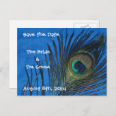Blue Single Peacock Feather Save the Date Briefkaa Aankondigingskaart (Voorkant / Achterkant)
