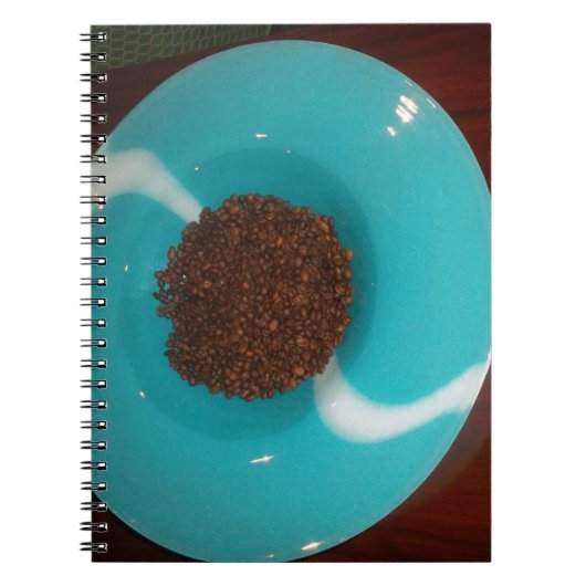 Blue Skeezer Notitieboek (Voorkant)