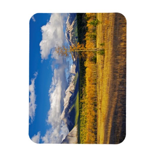 Blue skies and clouds above a meadow magneet (Verticaal)