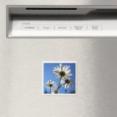 Blue Skies Bloomin Daisies Magneet (Insitu (Vaatwasser))
