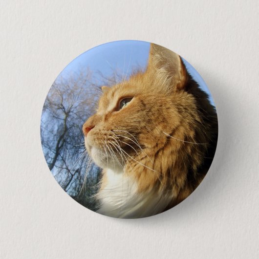 Blue Skies Cat-toets Ronde Button 5,7 Cm (Voorkant)