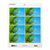 Blue Sky Palms Elegante Handgeschreven Sjabloon Mo Etiket (Full Sheet)