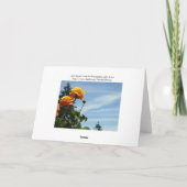 Blue Sky Wenskaarten Summer Roos Garden Kaart (Achterkant)