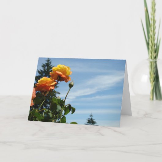 Blue Sky Wenskaarten Summer Roos Garden Kaart (Voorkant)