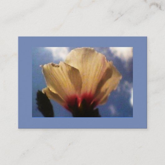 Blue Sky White Rose Visitekaartje (Voorkant)