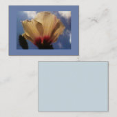 Blue Sky White Rose Visitekaartje (Voorkant / Achterkant)