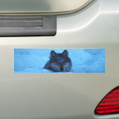 Blue Snow Timber Wolf Bumpersticker (Op auto)