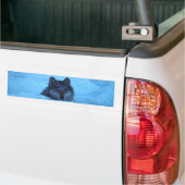 Blue Snow Timber Wolf Bumpersticker (Op Truck)