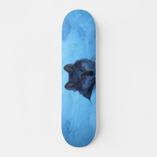 Blue Snow Timber Wolf Skateboard (Voorkant)