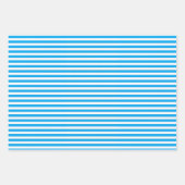 Blue Snowflake Inpakpapier Vel (Voorkant 2)