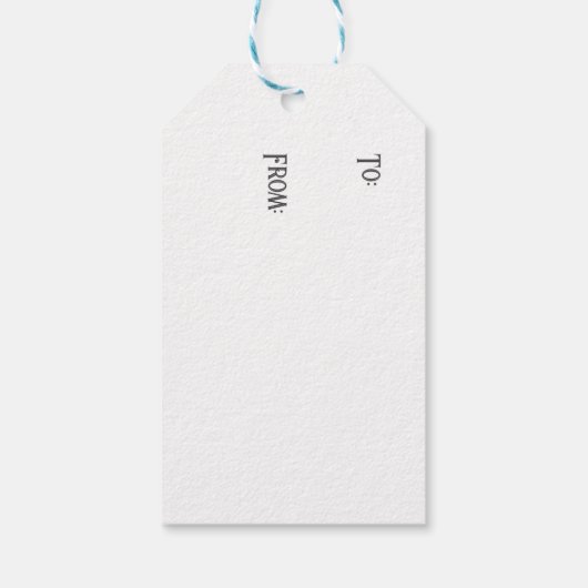 Blue Snowglobe Sneeuwvlok Foto Cadeaulabel (Achterkant)