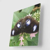 Blue Spoted Butterfly Wall klok (Hoek)