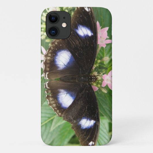 Blue Spotted Butterfly iPhone Case (Achterkant)