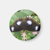 Blue Spotted Butterfly Magnet (Voorkant)