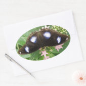 Blue Spotted Butterfly-stickers Ovale Sticker (Envelop)