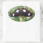 Blue Spotted Butterfly-stickers Ovale Sticker (Tas)