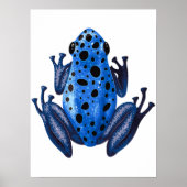 Blue Spotted Frog Digital Print | Kikkerwandafdruk (Voorkant)